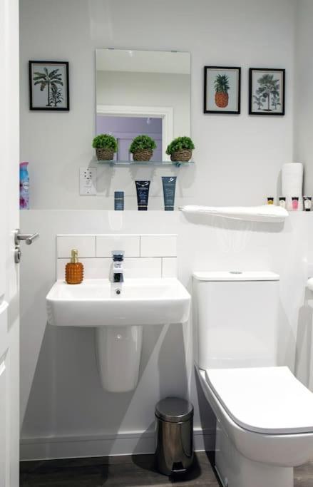 2 Bed 2 Bath Lux - Bullring - Free Wifi & Netflix - Contractors - Sleeps 6 *
